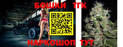 молекула духа Гатчина
