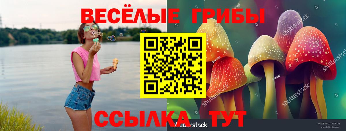 Псилоцибиновые грибы мухоморы Красноярск