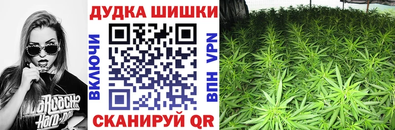 Каннабис сатива наркотики Красноярск
